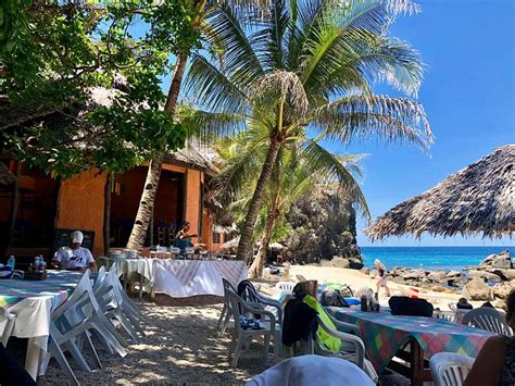 apo island hotels|𝗖𝗵𝗲𝗮𝗽 𝗛𝗼𝘁𝗲𝗹𝘀 𝗶𝗻 Apo Island from P1,129 for 2024 .